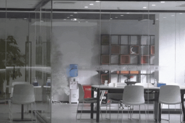flexiled vidéo d'un oiseau sur un espace vitré de bureau